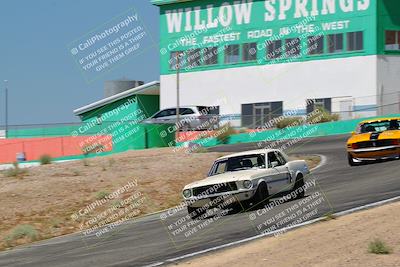 media/May-07-2022-Cobra Owners Club of America (Sat) [[e681d2ddb7]]/White/Session 1 (Turn 4)/